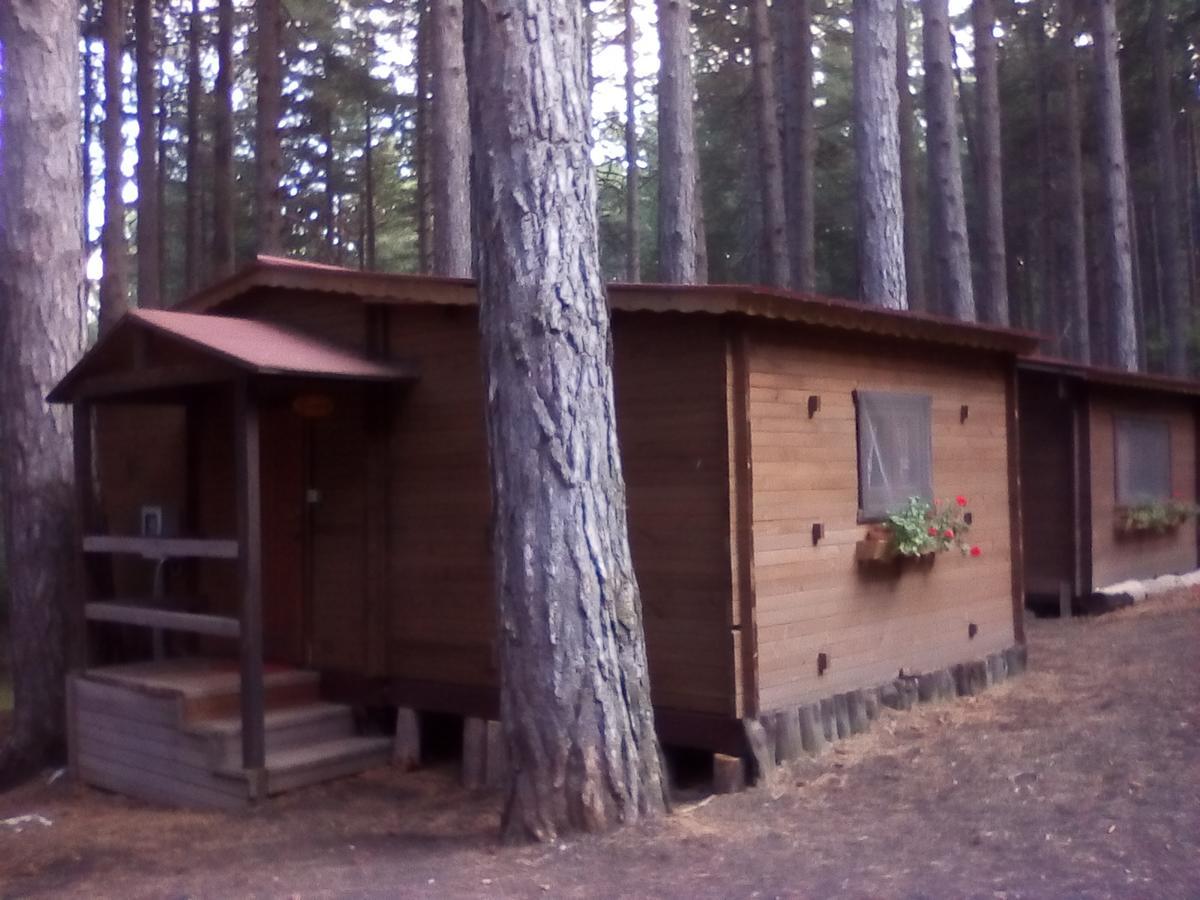 Chalet Clan Dei Ragazzi Linguaglossa Bagian luar foto